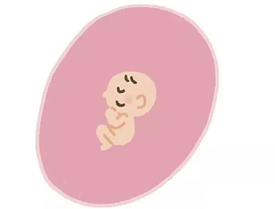 【长沙月子中心】胎宝宝长成记，太神奇了!